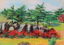 Landscapes