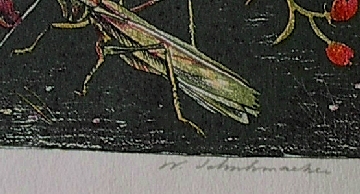 Dutch Lithograph Hand Signed Schuhmacher No. 2 by W. Schuhmacher