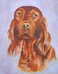 
Retriever by Unsigned
