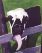 
My Favorite Cow by George Wright
